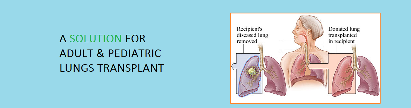 Lungs Transplant